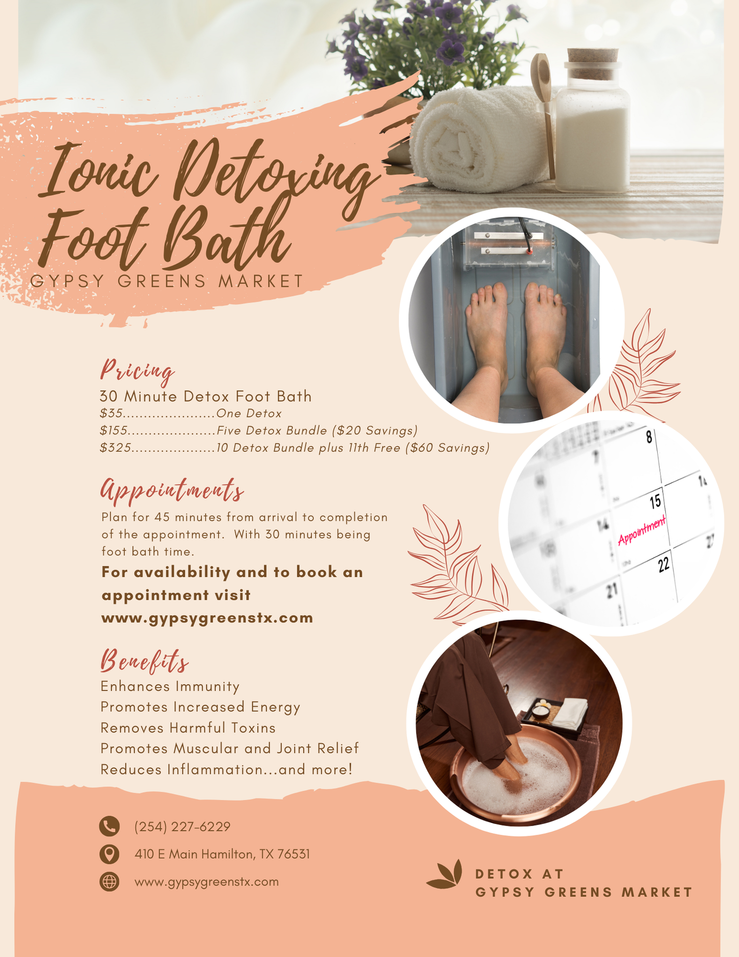 30 Minute Ionic Foot Bath Detox