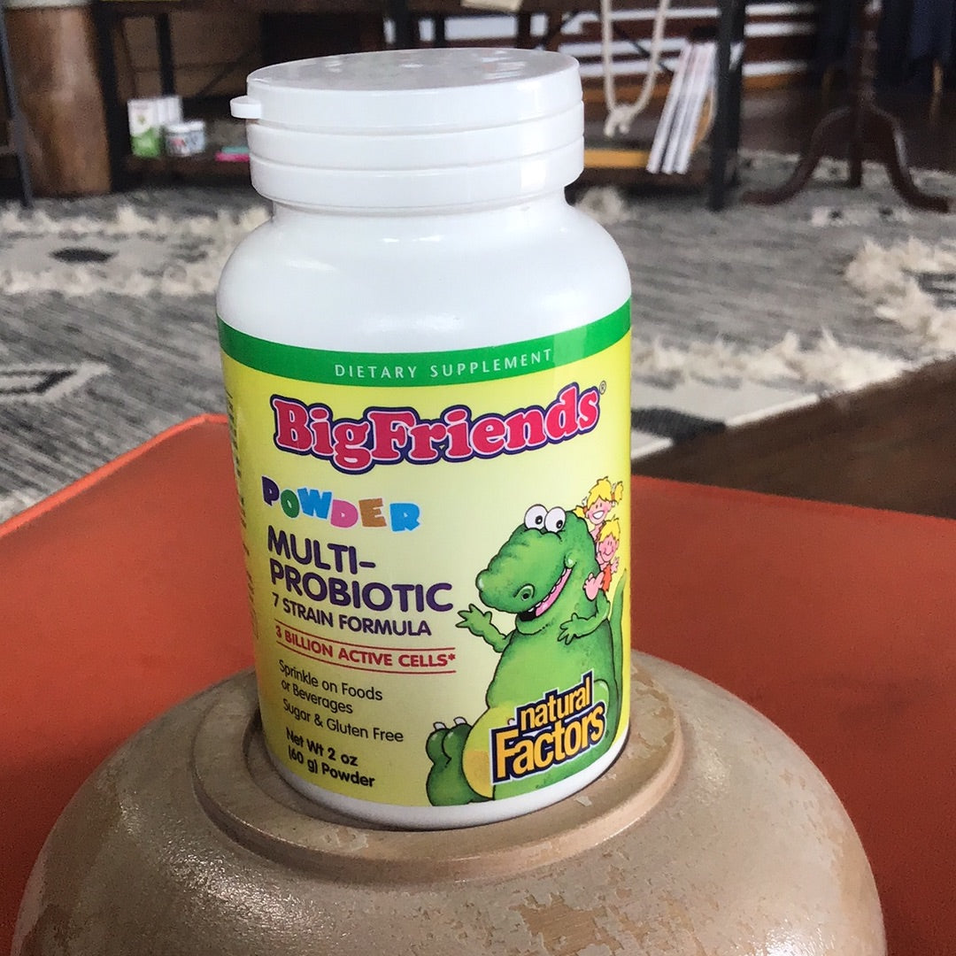 Big Friends Multi-Probiotic Powder